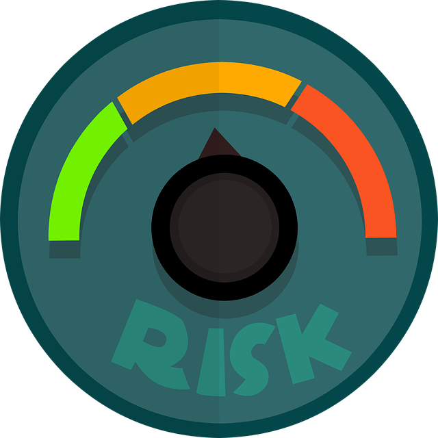 Risk Graphic for project management
