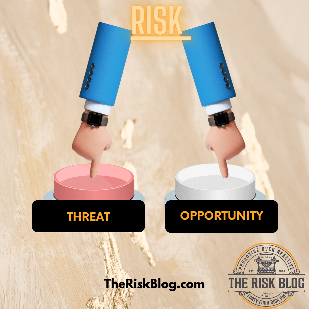 risk and opportunity