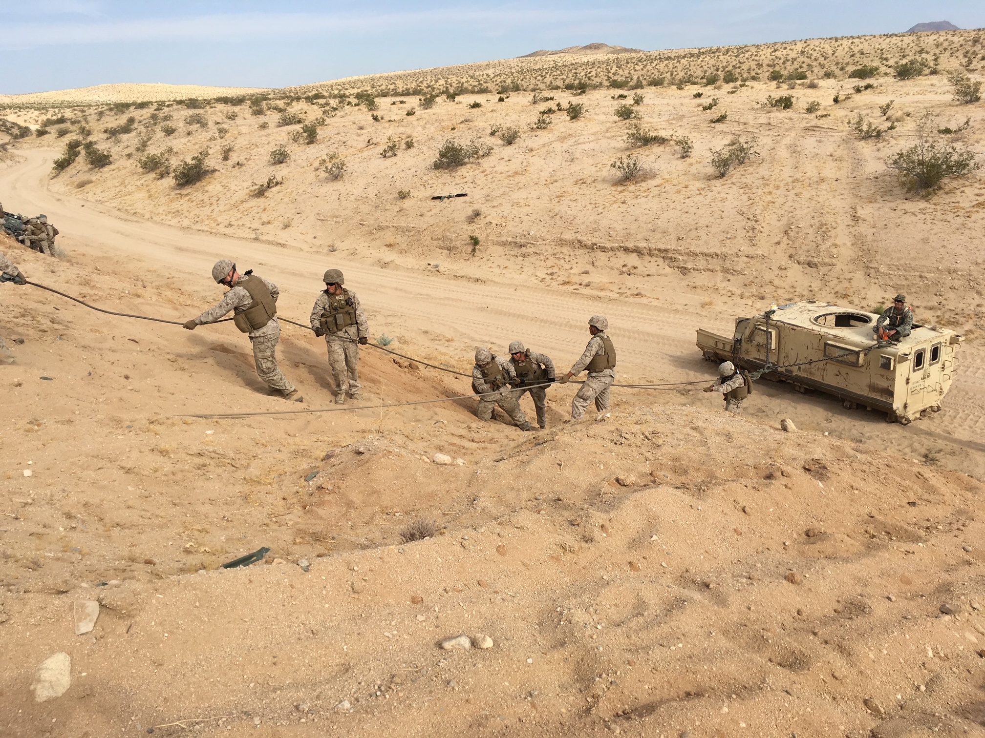 Transferrable Skills is Critical Thinking g