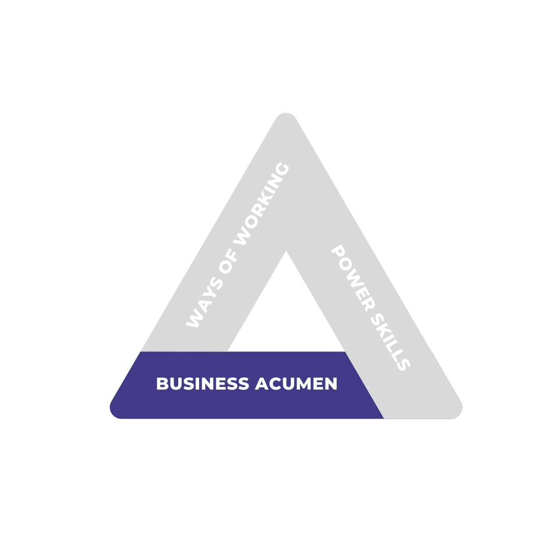 Business Acumen PMI Talent Triangle highlighted