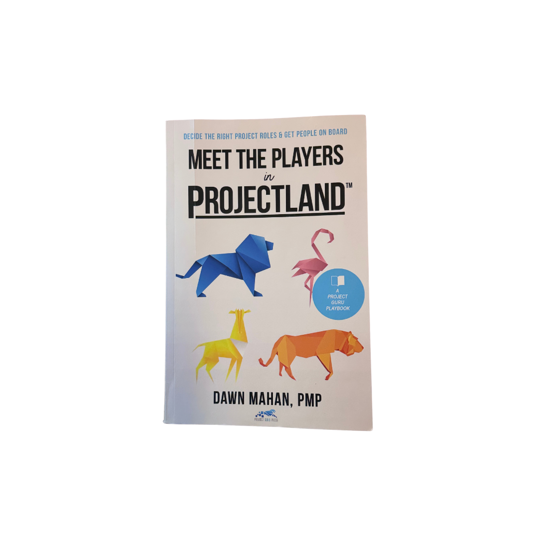 Meet The Players in Projectland Book