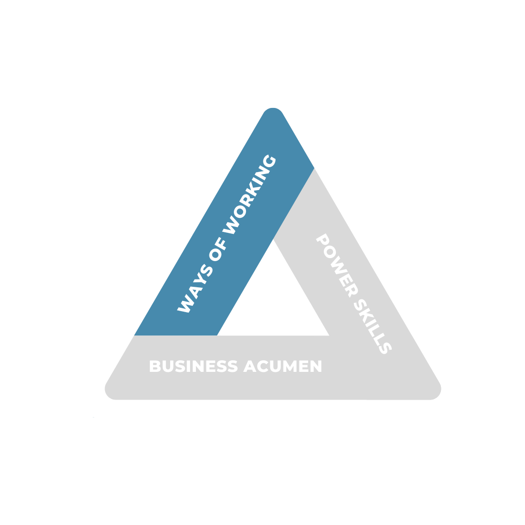 Ways of Working within the PMI Talent Triangle Highlighted