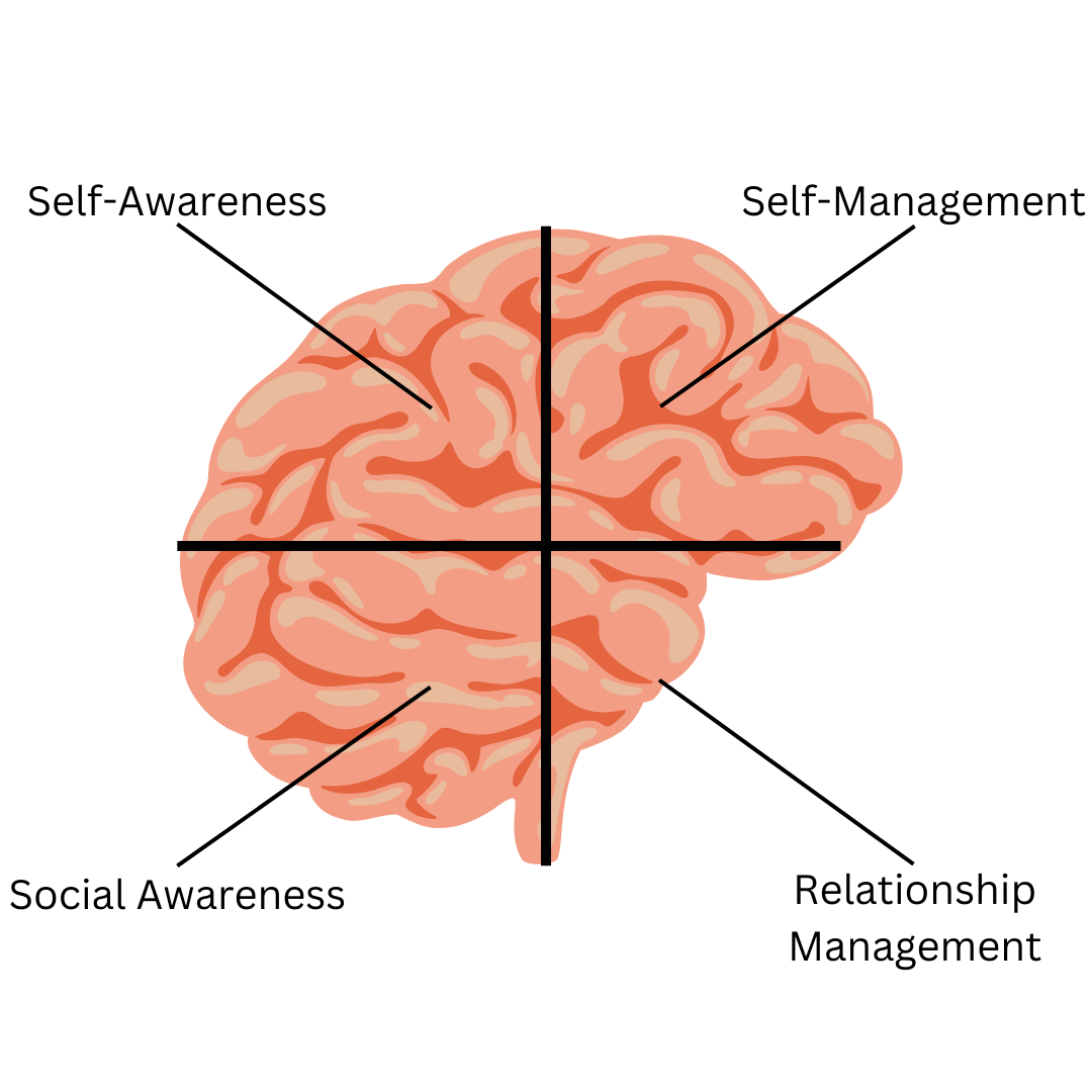 Coaching As a Leader - Emotional Intelligence breakdown using the brain